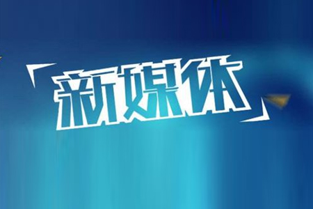 搜索引擎優(yōu)化,SEO優(yōu)化,新媒體獲取流量