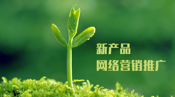 新產(chǎn)品推廣方案,網(wǎng)絡推廣解決方案