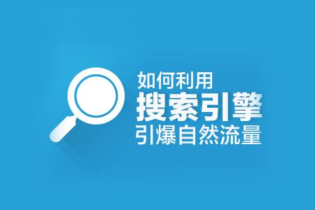 SEO搜索引擎原理及網(wǎng)站優(yōu)化排名