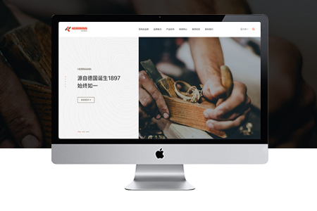 網(wǎng)站建設(shè) 網(wǎng)站建設(shè)