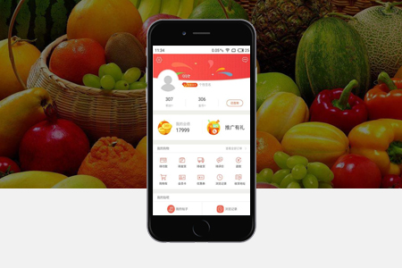 嘉定APP開發(fā) 嘉定APP開發(fā)